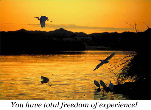 Inspirational Quotations you have total freedom of experience beautiful