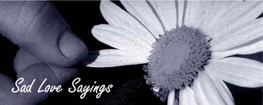 Sad Love Sayings: Black an white photo. Picture of hand picking petal leaves of a flower. Loves me, loves me not, love me, loves me not ... Sad Love Sayings: Black an white photo. Picture of hand picking petal leaves of a flower. Loves me, loves me not, love me, loves me not ...