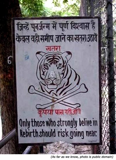 [Image: stupid-signs-zoo-signs-tiger-rebirth.JPG]
