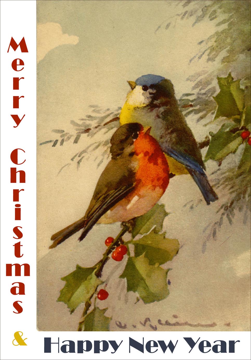 Vintage New Year and Christmas greeting card with 2 colorful winter birds