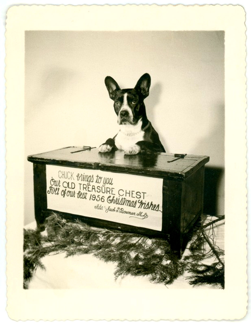 Chuk the dogs treasure chest - fun old  Xmas card
