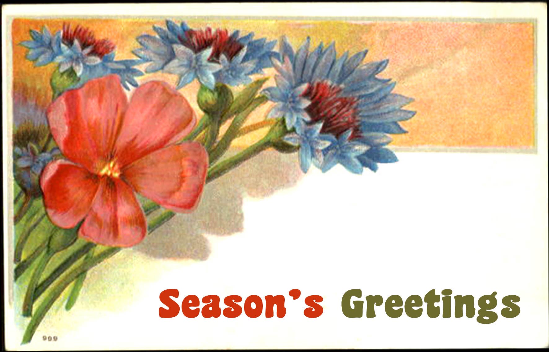 Vintage Christmas greeting card - drawing of flowers - text: Season's Greetings