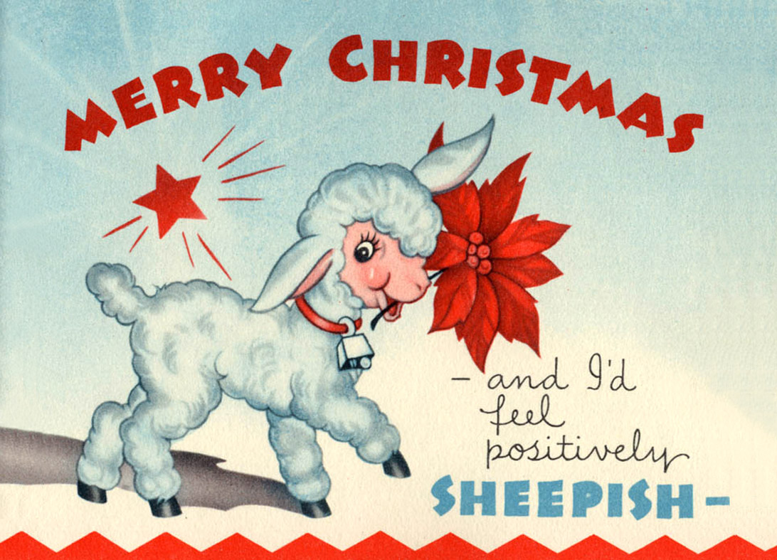 Sheep with a red flower in mouth - funny old Christmas postcard 