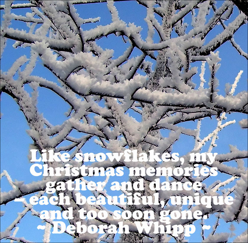 Modern Christmas greeting card with branches full of snow agains a blue sky.