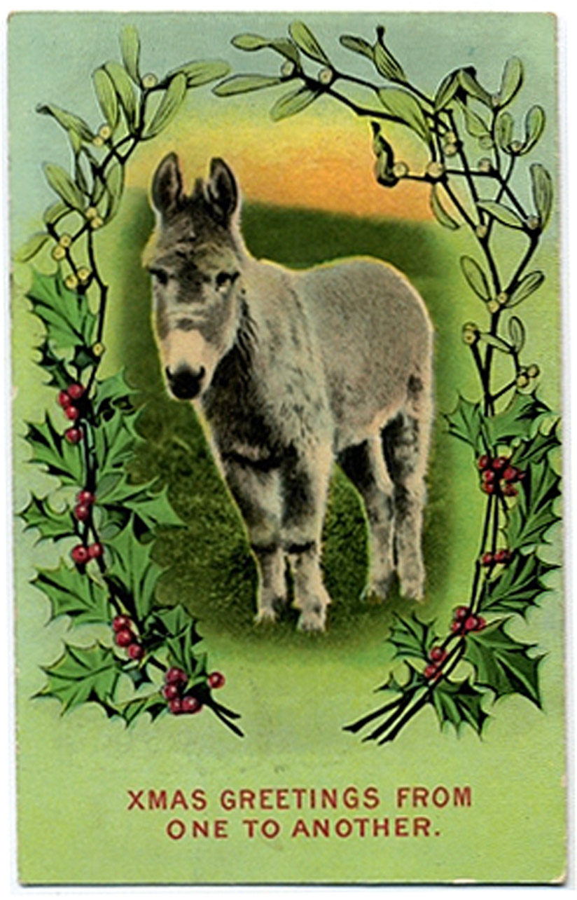 From one ass to another - funny vintage Xmas card
