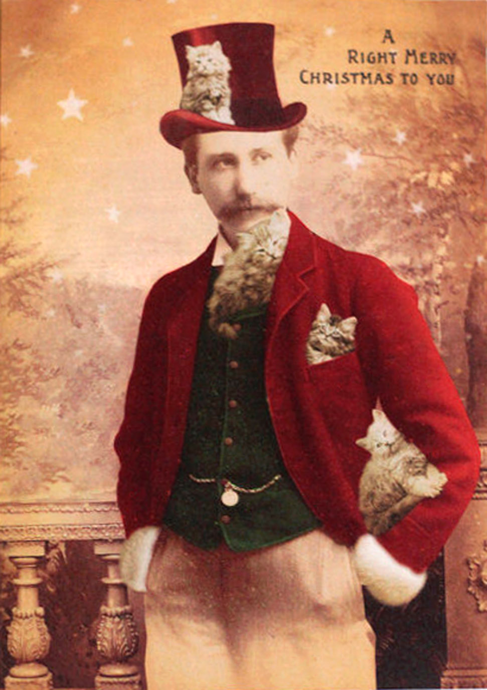 Man with kittens all over - funny vintage Christmas card