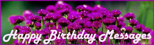 Happy birthday messages: Picture of pretty purple flowers.