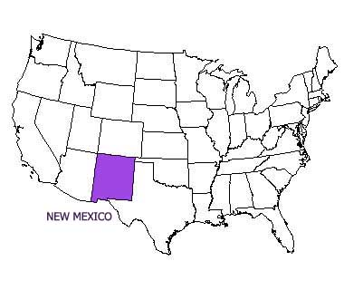 USA map with New Mexico highlighted