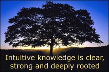  Big tree in silhouette in the sunset: Intuitive knowledge is clear, strong and deeply rooted.