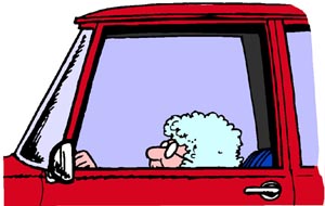 Funny driving jokes: Old woman in car is too small to look out the window.