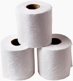 Funny Toilet Facts: Three rolls of toilet paper.