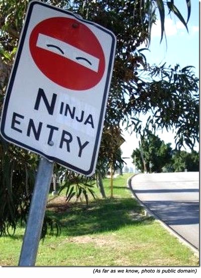 Silly signs and funny traffic signs: Ninja Entry!