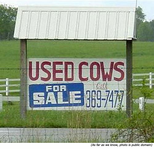 Really funny signs: Used cows for sale!