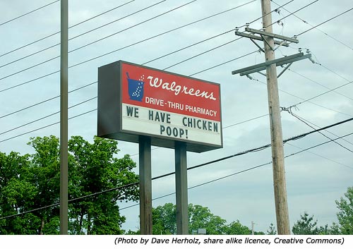 Silly signs and funny shop signs: Walgreens drive-thru pharmacy. We have chicken poop!