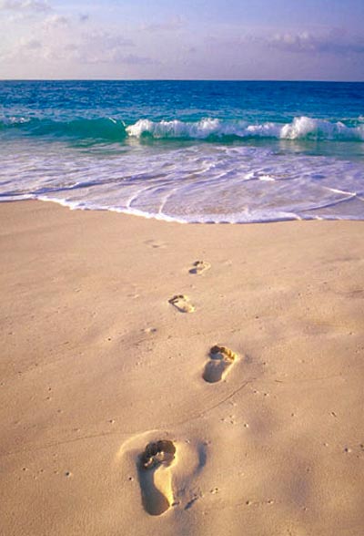 Simple life truths: footprints in the sand on the beach.