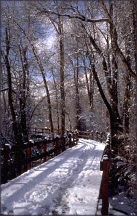 Snowy forest road and bridge in the sunshine - direction is always a choice.