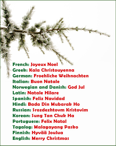 Buon Natale Meaning.Wonderful Christmas Greetings Quotes Poems To Put In Your Cards