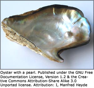 Photo of oyster with a little pearl inside.