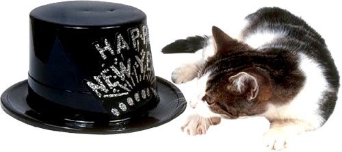 Sweet New Year: Cute cat lying next to black happy New Year hat.