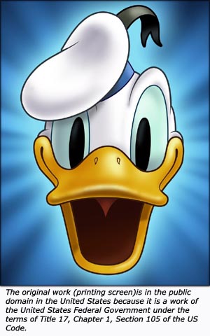 Funny Donald Duck.