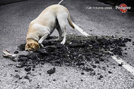 Pedigree commercial - for strong dogs, dog digging in road, very funny ads