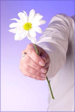 Woman hand holding and giving a flower.