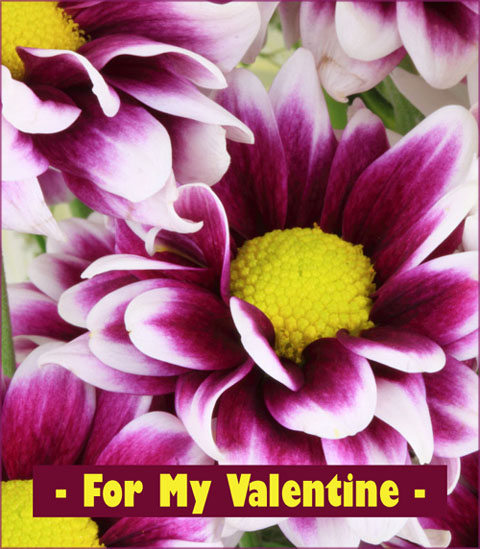 Free printable Valentine cards with photo of purple flowers and short Valentine greeting.
