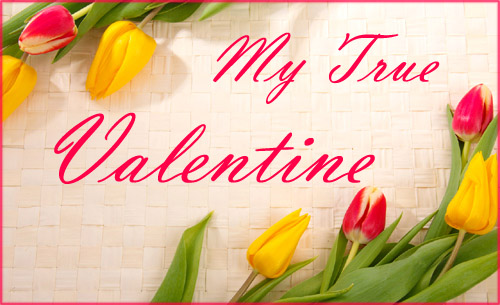 Colorful Valentines Photo card with red and yellow tulips and short Valentine greeting.