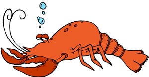 Funny drawing of lobster as a symbol for Maine.