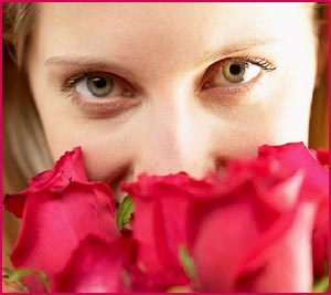 Sweet love: woman looking intense over a buket of roses. Woman smelling the roses.