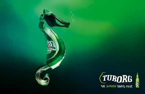 Fabulous Tuborg beer commercial - a picture of a seahores - the summer starts here - great alcohol ads