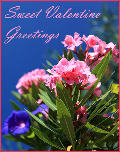 Pretty pink flowers agains a clear blue sky. 