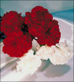 Romantic silk flowers, red and white roses.