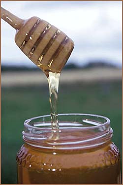Weird but true facts about honey and preservation: Photo of honey jar.
