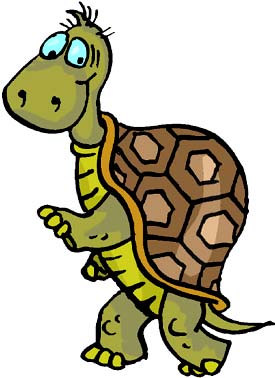 Strange facts: Funny drawing of turtle. Strange facts: Funny drawing of turtle.