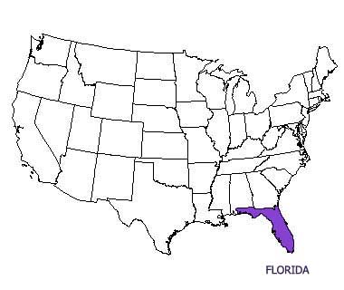 USA map with Florida highlighted