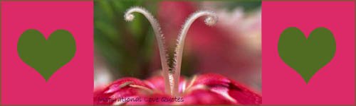 Inspirational love quotes - beautiful stamens of pink flower