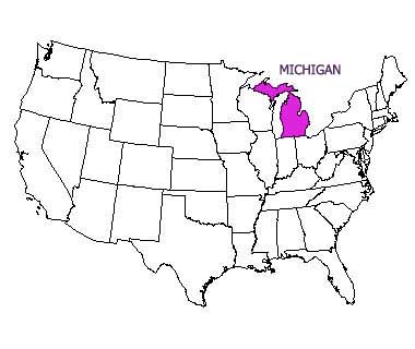 USA map with Michigan highlighted