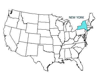 USA map with New York highlighted