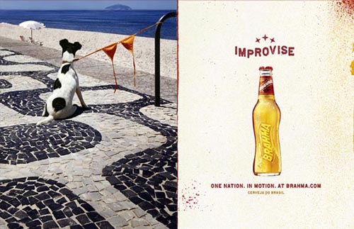 Brahma beer ads - Improvise - funny picture of dog attached with a bikini.
