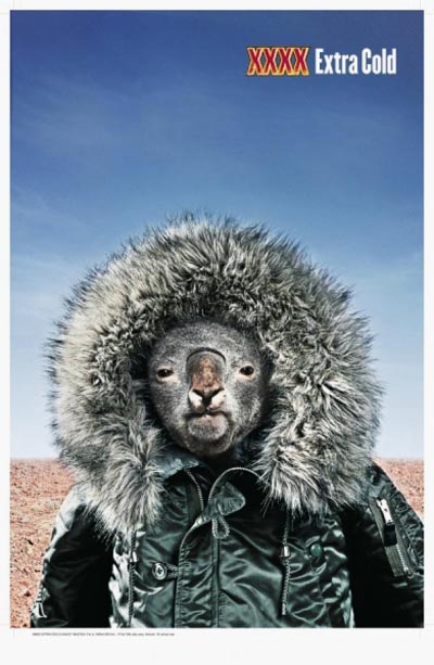 Castlemaine XXXX beer commercial - extra cold. A koala wearing winter jacket in the middle of the desert.