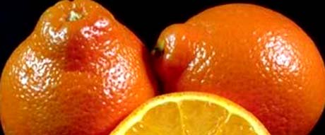 Florida nickname; The Orange State - picture of oranges