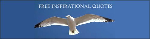Picture of flying seagull in the blue sky