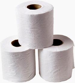 Funny Toilet Facts: Three rolls of toilet paper.