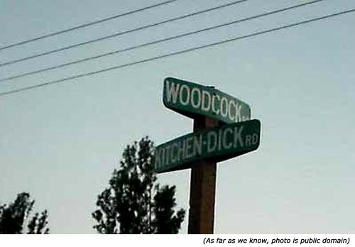 Funny street names: Woodcock Road and Kitchen Dick Road