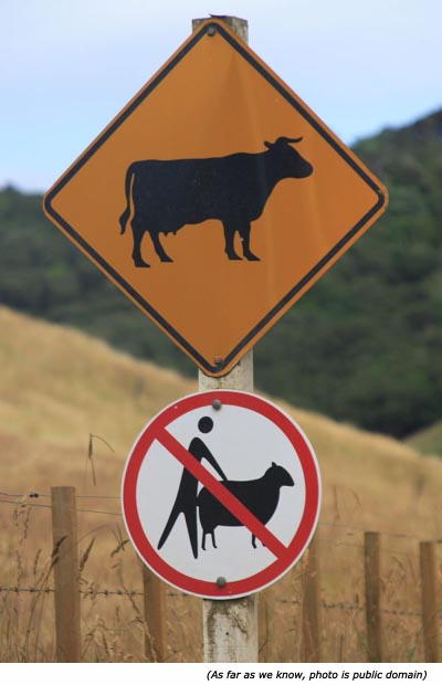 Hilarious animal sign: No fucking the sheep!