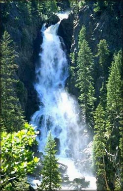 Picture of wild waterfall.