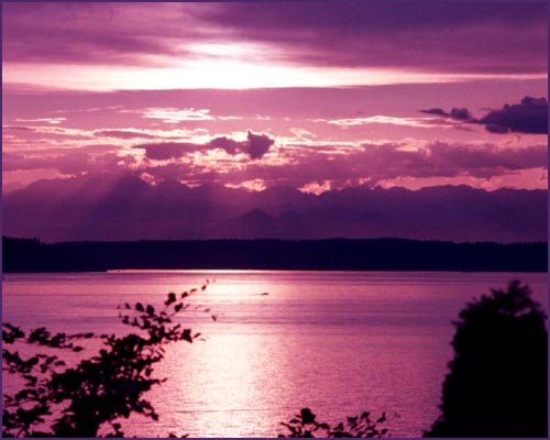 Purple sunset at the sea or by a lake.