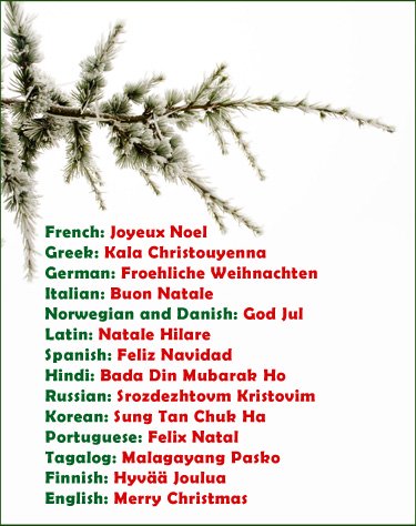 Saying merry Christmas in many different languages.