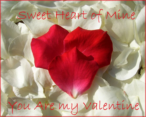 Free printable valentine cards in a modern style: Photo of rose petals forming a heart.